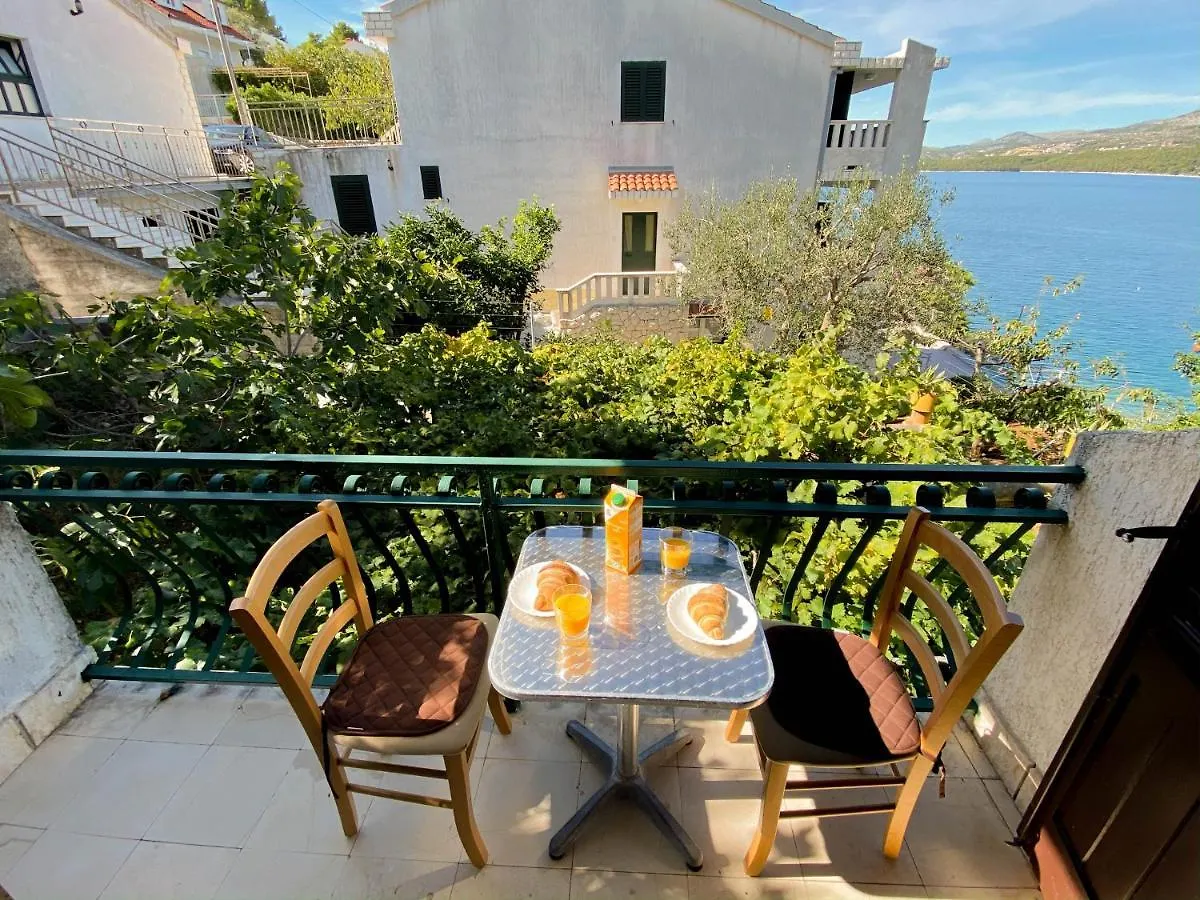 Seaview & Beachfront Apartments Jakov Donji Okrug  Croatia